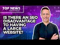 Is There An SEO Disadvantage to Having a Large Website? - Ignite Visibility