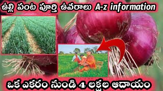 ఉల్లి పంట పూర్తి వివరాలు onion farming full information