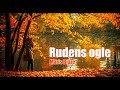 rudens ogle māris blāze pied. diāna blāze