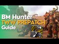 BM Hunter 11.0 Prepatch Guide - The War Within