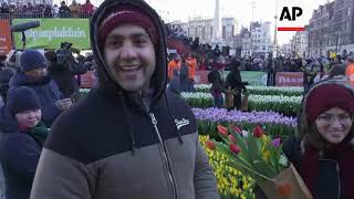 National Tulip Day in Amsterdam