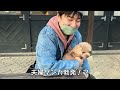 愛犬と紅葉狩りvlog🐶🍁こもれび森のイバライドが穴場スポットすぎる！