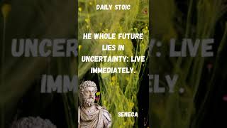 Marcus Aurelius: LIFE CHANGING Quotes | DAILY STOIC | Stoicism #Stoicism #DailyStoic