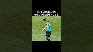 Referee's reaction to Son Heung-min's red card cancel appeal