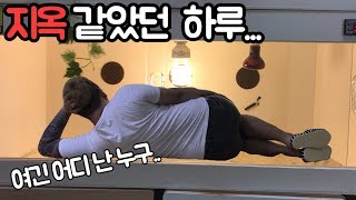 파충류 사육장 시원하게 갈아 엎었습니다! 그리고 지옥을 맛보다... [집돌이]