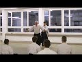 stéphane benedetti aikido seminar in zurich 07.02 2015 tsuki irimi u0026 kote gaeshi