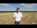 Cover Crops - Renovo Seed