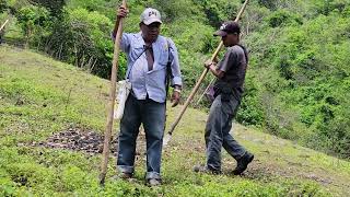 This is how we plant the Milpa