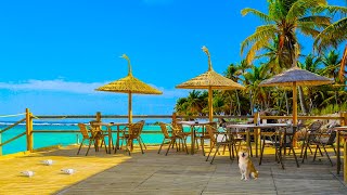 Caribbean Cafe Ambience ☕ Coffee Shop Ambience with Bossa Nova & Ocean Waves Sounds for Relaxation