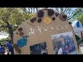 2022年4月16日代々木公園イベント広場で、４ｋ、超綺麗高画質美映像動画、