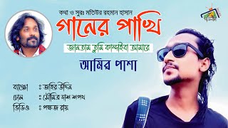 জানতাম তুমি কান্দাইবা আমারে || পাগল হাসান || আমির পাশা