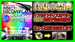 【開催間近！】西日本最大級のカブクワイベント【インセクトディスカバリー】に出品するヘラクレスオオカブトとクワガタ達の個体をちょっとご紹介していきます！