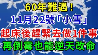 60年難遇！就在明天！11月22號小雪，起床後趕緊去做1件事，再倒霉也能逆天改命！|禪心慧語 #佛教 #風水 #人生感悟 #生肖 #智慧 #一禪語 #手寫 #分享 #小雪 #二十四節氣 #禪語佛心