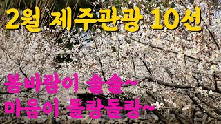 2월 놓치지 말아야 할 제주 관광 10선 ~ 2월 제주, 먼저 온 봄기운에 마음 돌랑돌랑