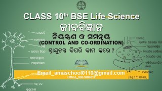 Class 10th BSE Odisha/Life Science/Control and Co-ordination/Snayutantra Kipari Kama Kore