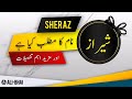 SHERAZ Name Meaning In Urdu | Islamic Baby Boy Name | Ali-Bhai