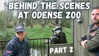 Exclusive Behind The Scenes Access at Odense Zoo | Part 2