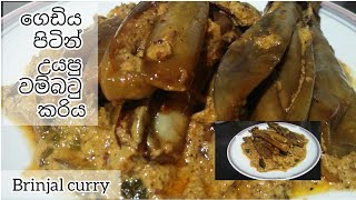 මෙහෙම වම්බටු හැදුවොත්නම් ගෙදර හමෝම කයි🍆🍆 (Brinjal Curry)/jushi kitchen