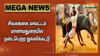 சிவகங்கை மாவட்டம் மானாமதுரையில் நடைபெற்ற ஜல்லிக்கட்டு