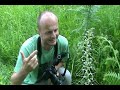 orchids of bela krajina part 1.avi