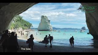 Cathedral Cove | A New Zealand Must Do - Coromandel | Traveller