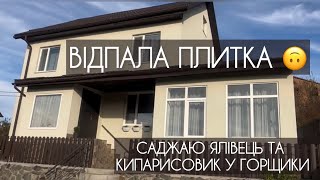 Відпала плитка. Саджаю ялівець та кипарисовик у горщики.