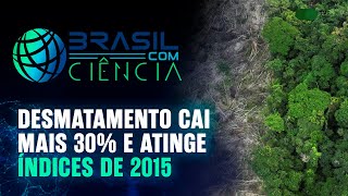 Desmatamento cai mais 30% e atinge índices de 2015 | 🌐 Brasil com Ciência