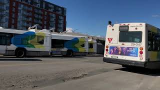 STM-STL Buses in Action - September