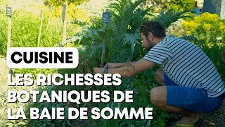 Cueillir et cuisiner sur place : les secrets d'un chef cuisinier dans la Baie de Somme