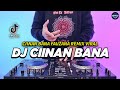 DJ CIINAN BANA REMIX FULL BASS VIRAL TIKTOK TERBARU 2024 | DJ NAN BANA FAUZANA