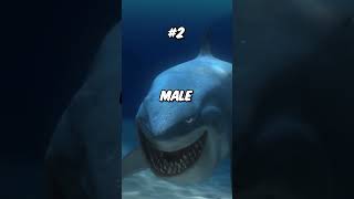Did You Know These Things About Finding Nemo...