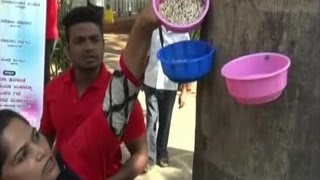 Residents provide relief to birds in heat-stricken Hubli- ANI News