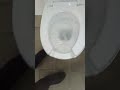 wc Ponte Giulio con cassetta a zaino Valsir