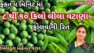 ફકત ૫મિનિટ માં ૮ થી ૧૦ કિલો વટાણાં ફોલવા ની એકદમ નવી જ રીત બિલકુલ મહેનત વગર|how to Store green peas