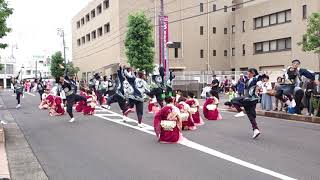 環温「栞」銭形よさこい2019中央町会場