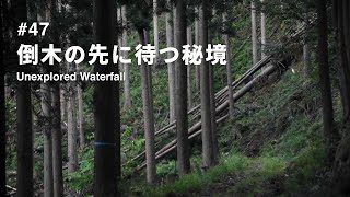 【倒木を乗り越えた先に待っていたのは圧倒的秘境の滝でした】祖母山の隠れ家 | Unexplored waterfall after  fallen trees