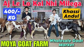 Aj Le Lo Kal Nhi Milega SPECIAL DISCOUNT At MOYA GOAT FARM | Wholesale Goat Market In Bhiwandi