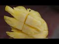 미친속도 과일 자르기 달인 모음 crazy speed amazing fruit cutting skill thai street food