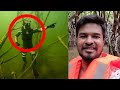 I'm in Tamil Nadu Forest Pichavaram Mangroves Vlog | Madan Gowri | MG | Day 4