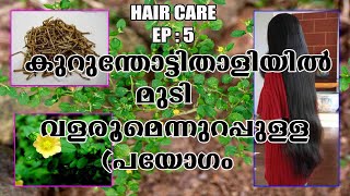 How To Make Kurunthotti Shampoo For Hair Loss // Kurunthotti Thali Making //Thali // hair care #5