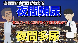 【夜間頻尿】or【夜間多尿】👉排尿日誌📝・原因・治療