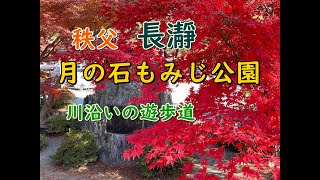 「月の石もみじ公園 」長瀞にもみじ公園があった。