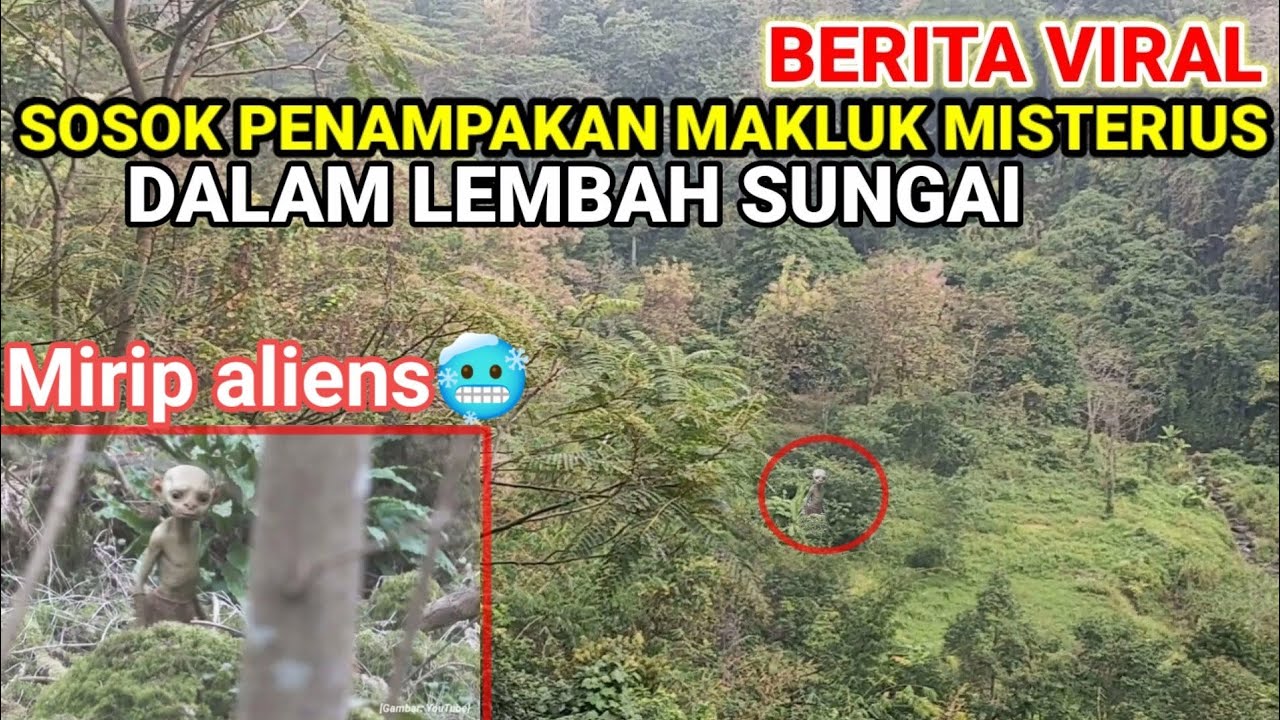 Berita Viral Kejadian Nyata Penampakan Makluk Aneh Dalam Lembah Sungai ...