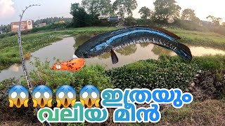 ഈ ഫ്രോഗ് കയ്യിലുണ്ടോ എങ്കിൽ മീൻ ഉറപ്പ്  #shorts #video