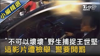 「不可以壞壞」野生捕捉王世堅 這影片遭檢舉 警要開罰｜TVBS新聞