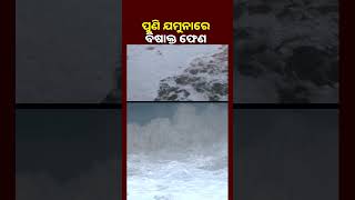 ପୁଣି ଯମୁନା ନଦୀରେ ଭାସୁଛି ମୋଟା ପରସ୍ତର ବିଷାକ୍ତ ଫେଣ || KNews Odisha