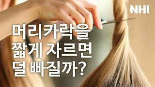 머리카락을 짧게 자르면 덜 빠질까?ㅣ뉴헤어