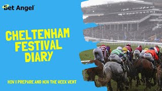 Cheltenham Festival | Betfair trading diary | Peter Webb