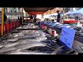 Exploring Kuching's Seafood Paradise In Nasuha Terubok Masin,PCC DEMAK