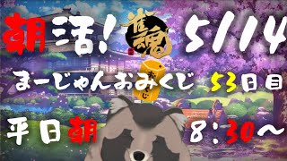 【朝活】たぬきいちのまーじゃんおみくじ 53日目【雑談】